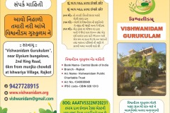 VishGuruBrochure
